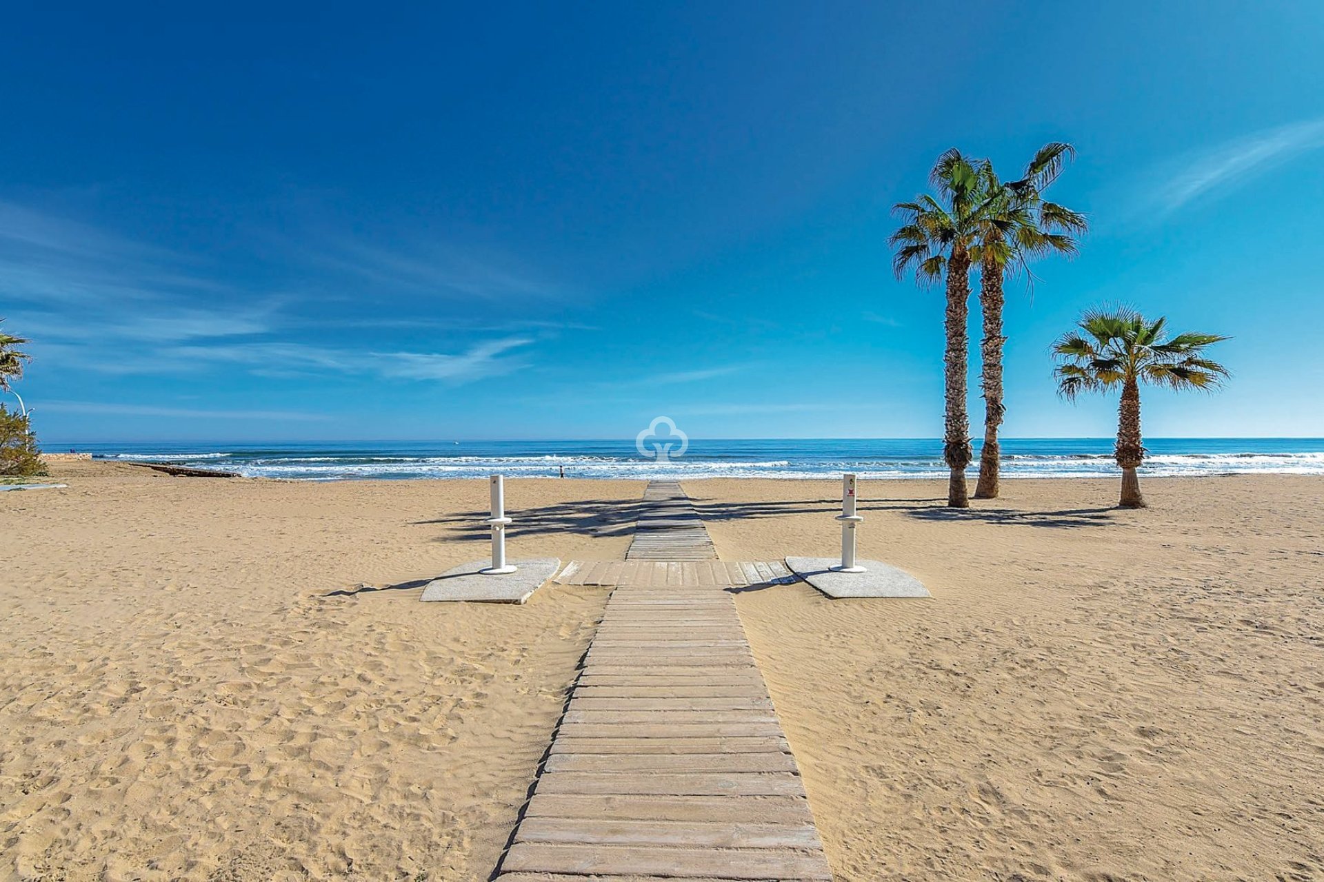 Obra nueva - Ático -
Torrevieja - torrevieja