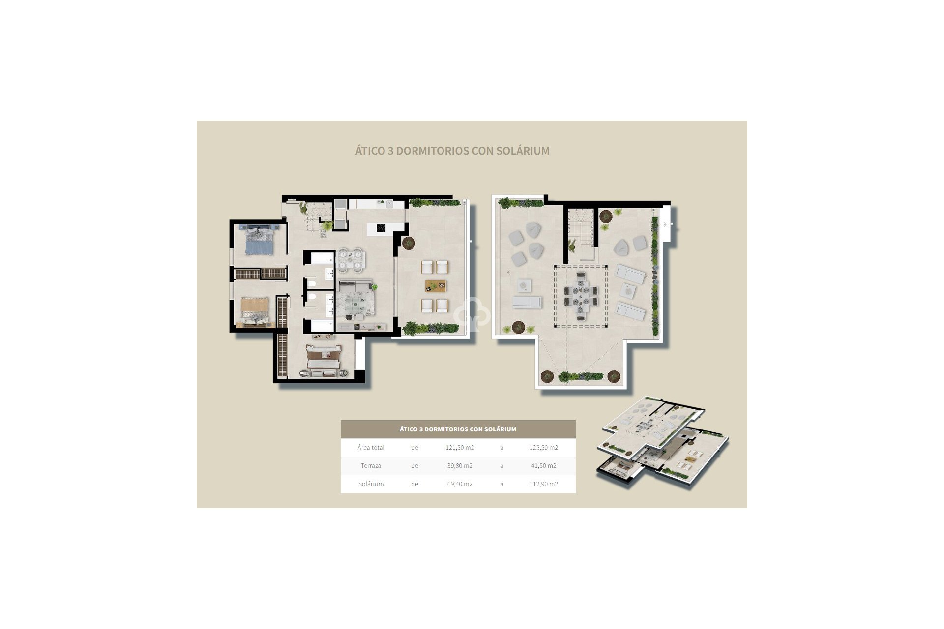 Obra nueva - Áticos -
Marbella - Urbanización Nueva Andalucía s/n