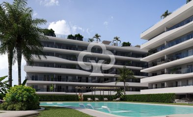 Penthouses - New Build - Santa Pola -
                Santa Pola