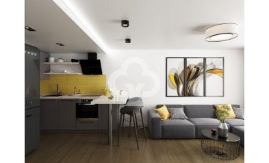 Penthouses - Obra nueva - Alicante / Alacant -
                Alicante / Alacant