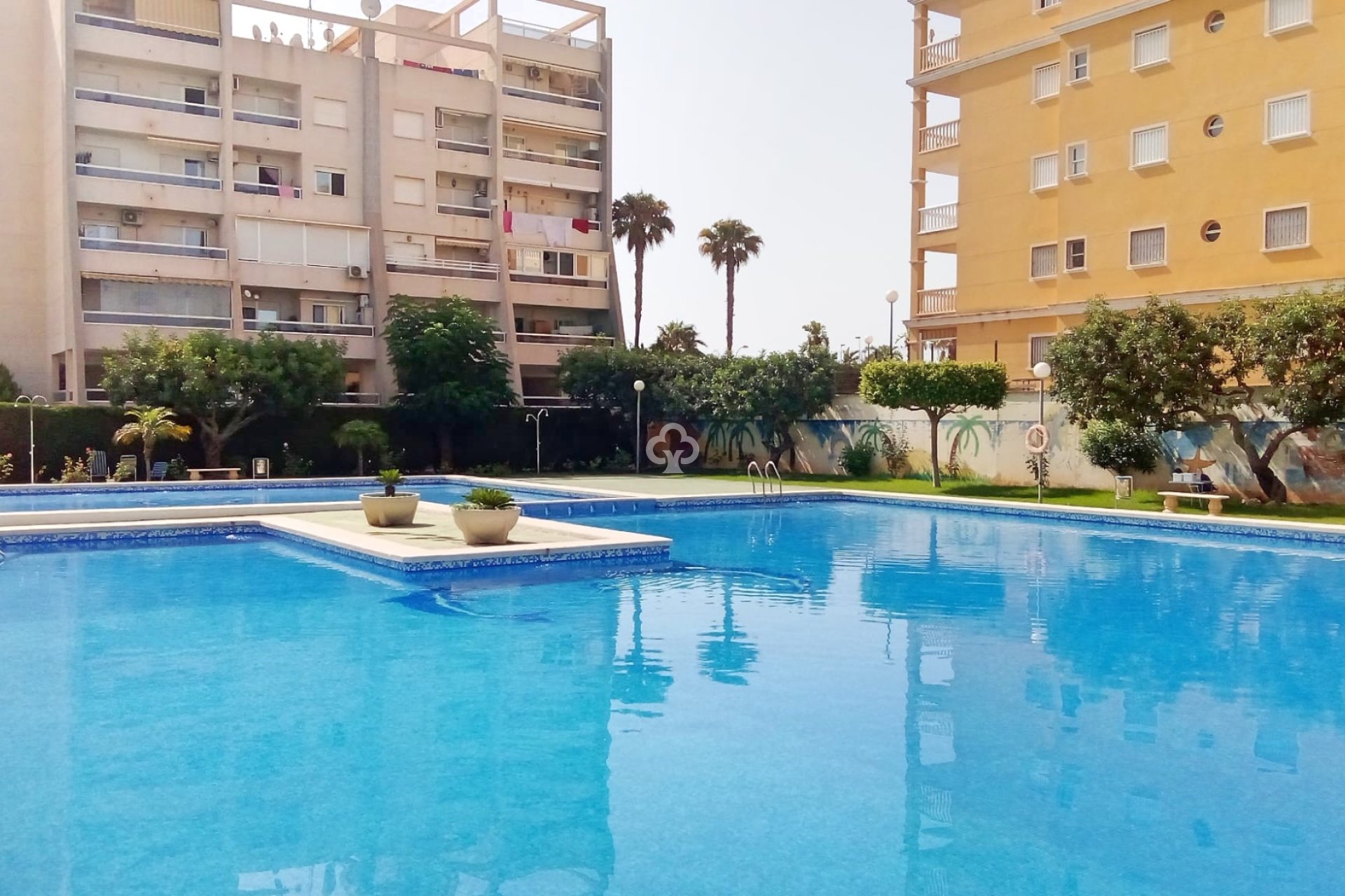 Resale - Apartment / flat -
Torrevieja - Nueva Torrevieja - Aguas Nuevas