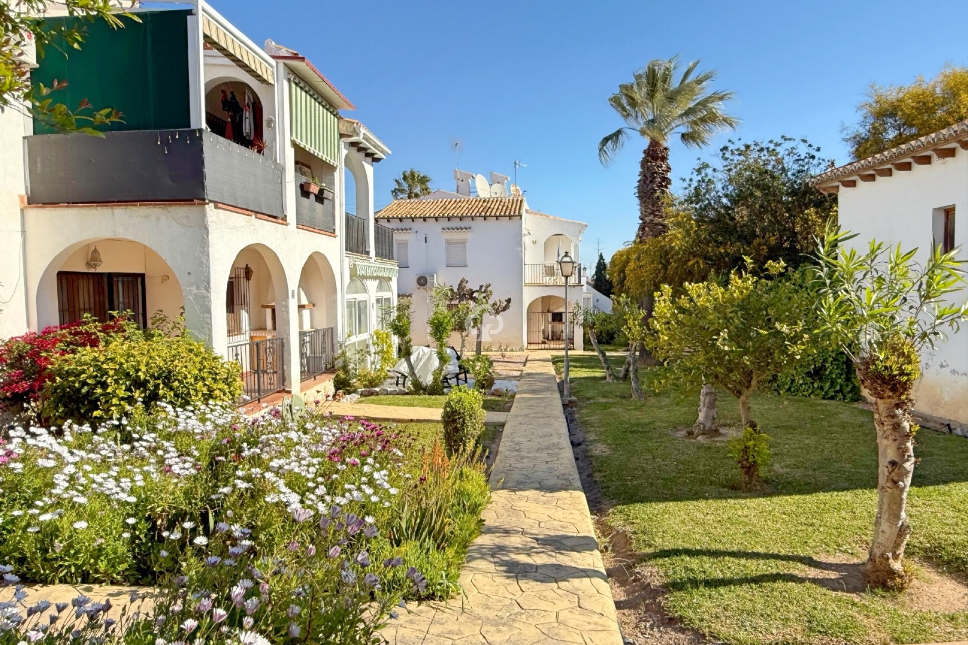 Resale - Bungalow -
Torrevieja - Los balcones