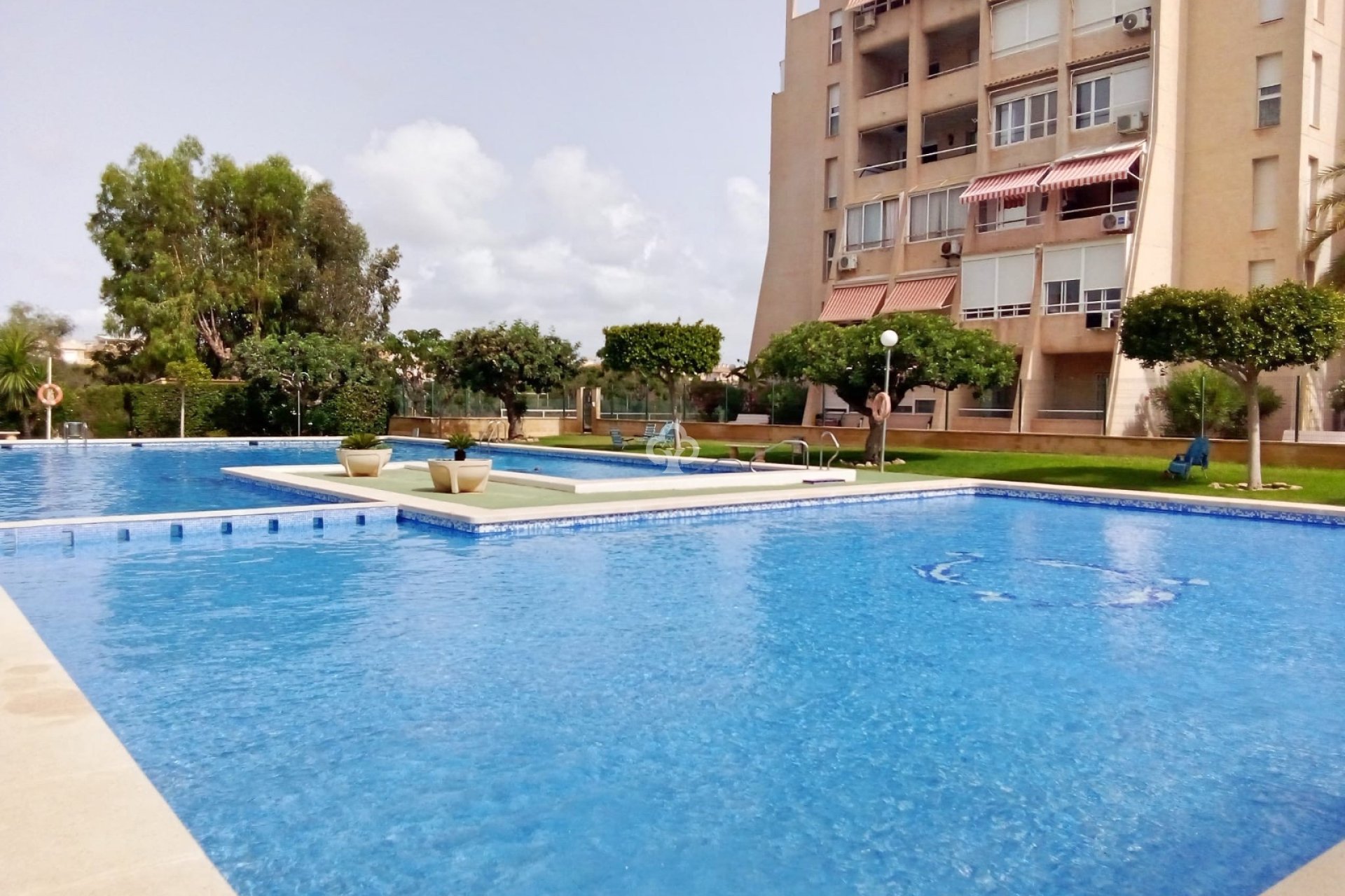 Reventa - Apartamento / piso -
Torrevieja - Nueva Torrevieja - Aguas Nuevas