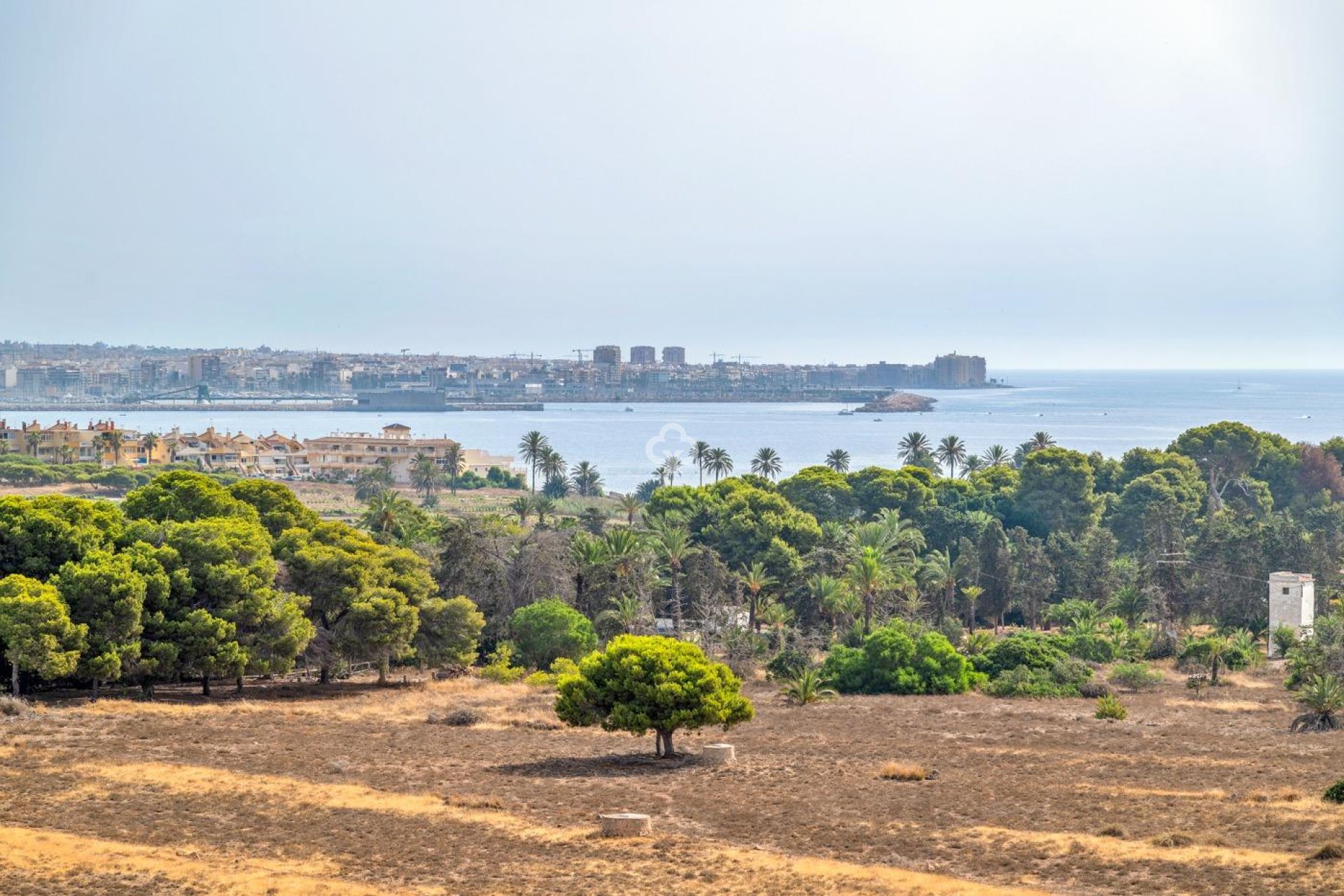 Reventa - Apartment -
Torrevieja - Punta Prima