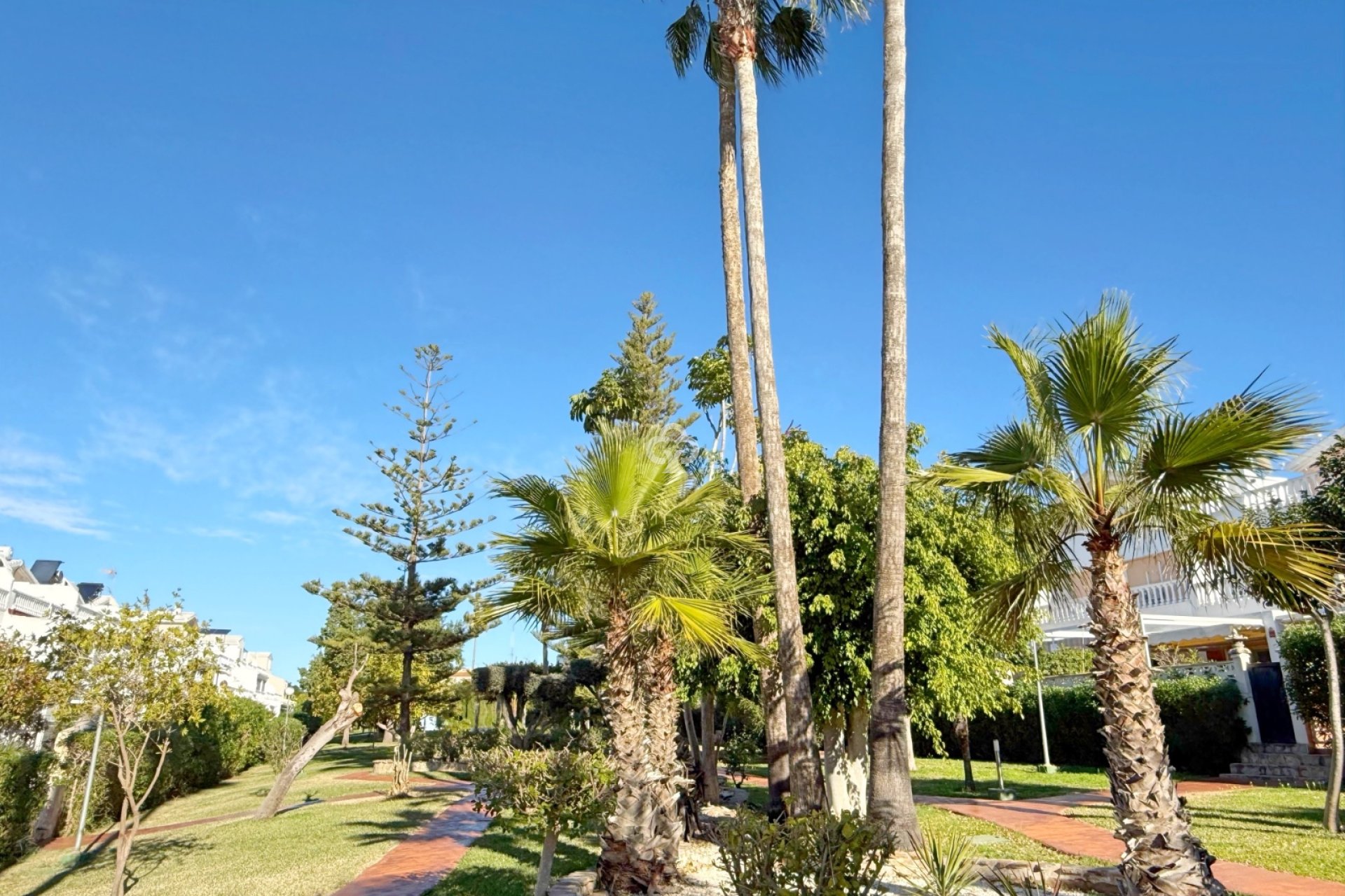 Reventa - Chalet -
Guardamar del Segura - Urbanizaciones