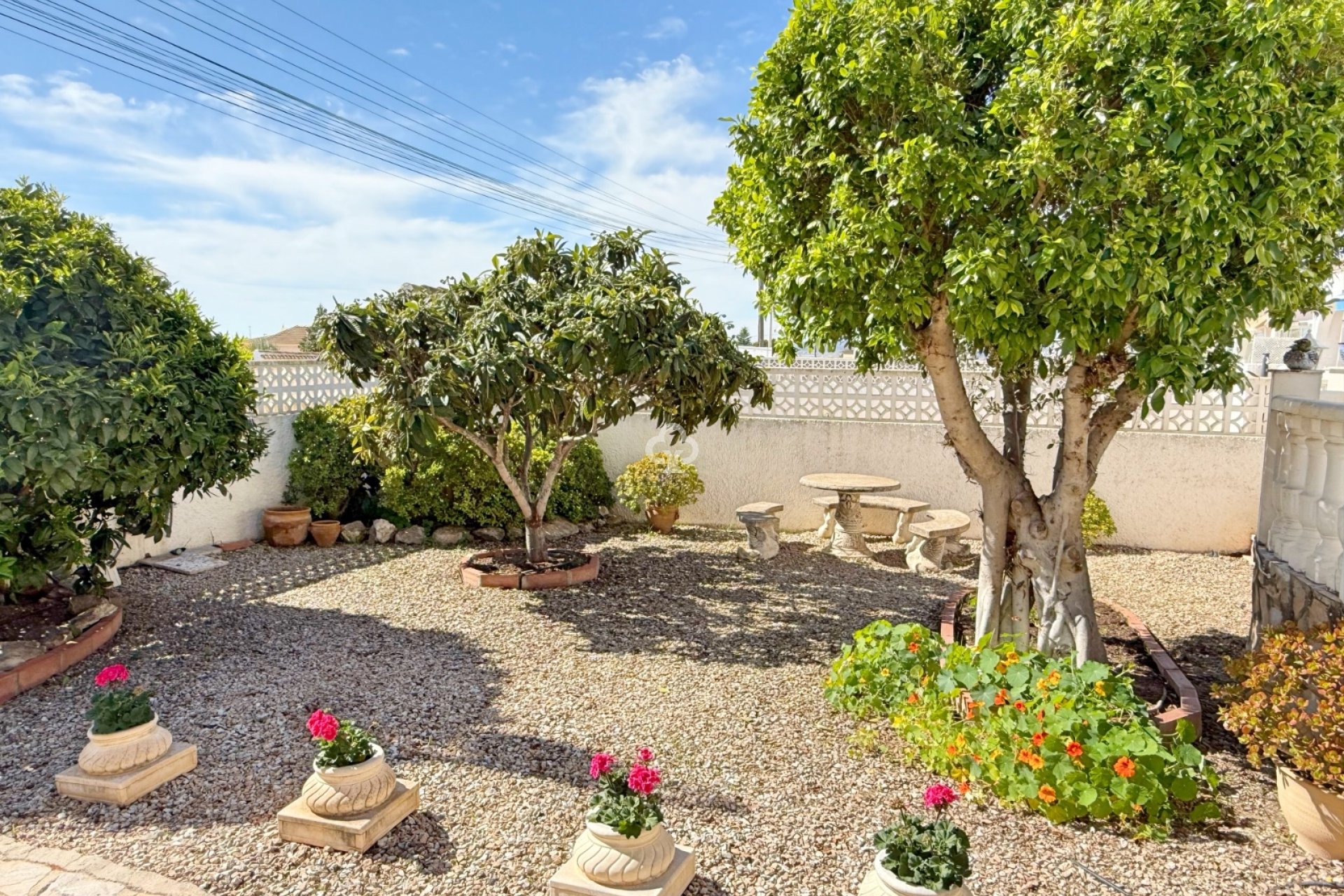 Reventa - Chalet independiente -
Torrevieja - 03184