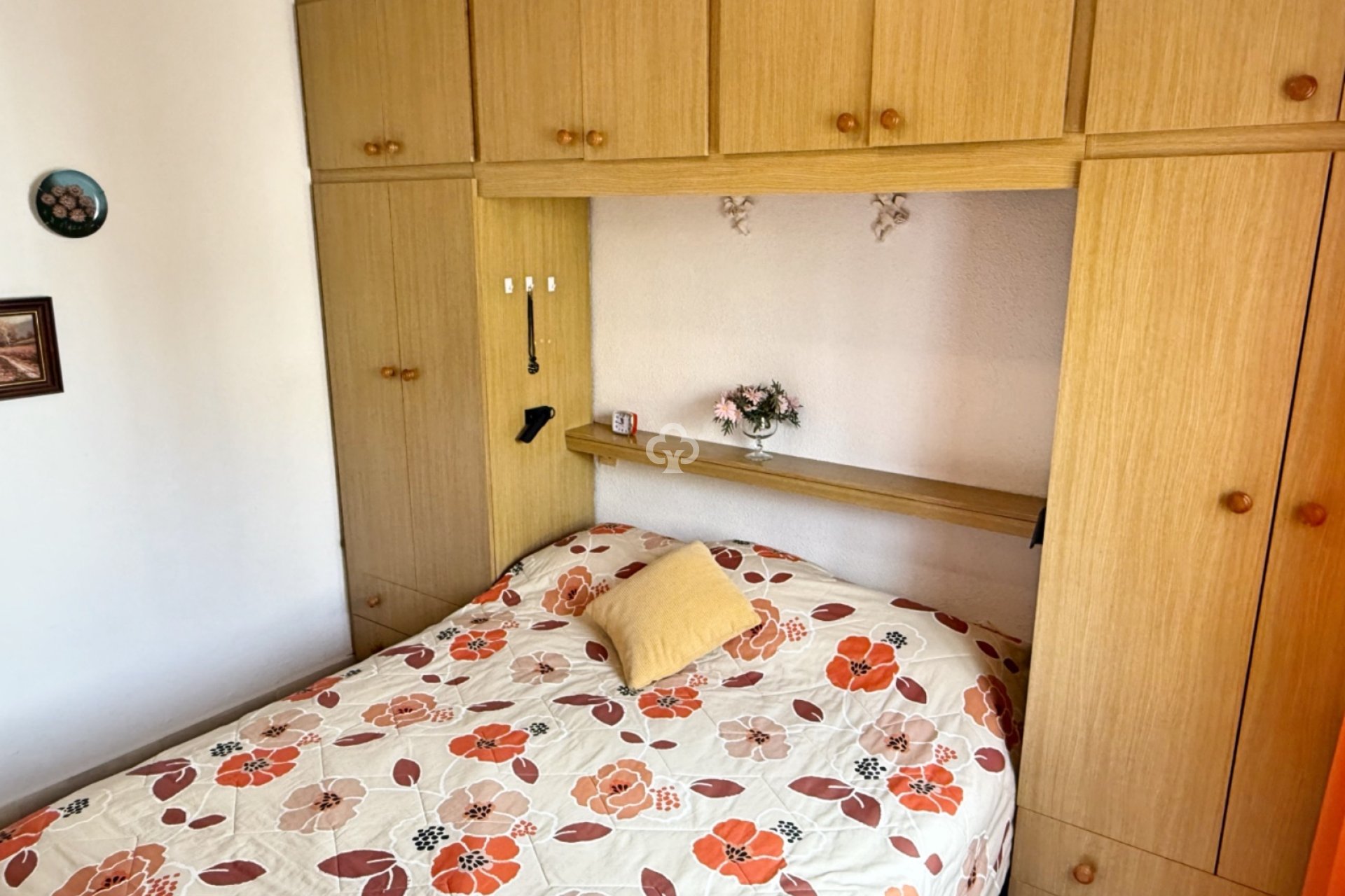 Reventa - Chalet independiente -
Torrevieja - 03184