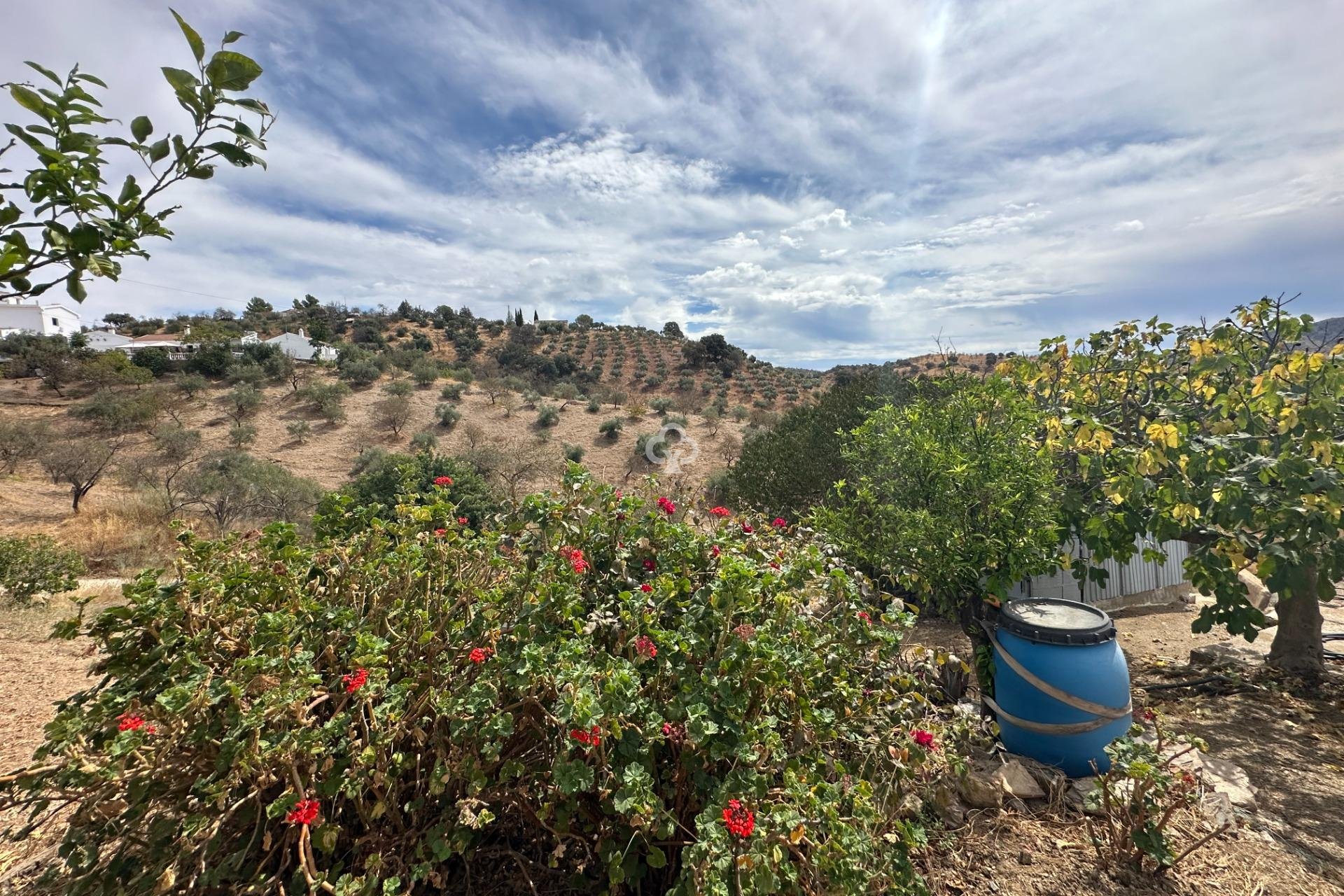 Reventa - Finca rústica -
Almogia - South of spain