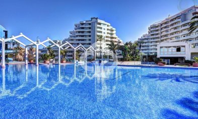 Studie - Wiederverkauf - Benalmádena -
                Parque de la Paloma