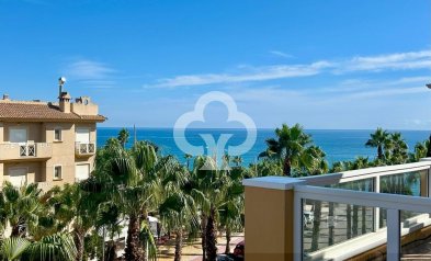 Takvåning - Återförsäljning - Orihuela Costa -
                Aguamarina