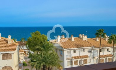 Terraced house - Wiederverkauf - Dehesa de campoamor -
                Campoamor