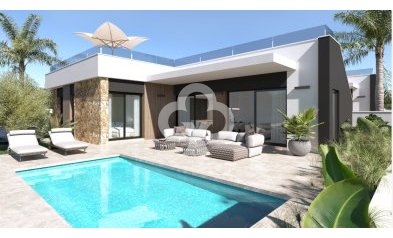 Villas - Neue Gebäude - Ciudad Quesada -
                Ciudad Quesada