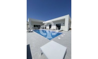 Villas - Neue Gebäude - Pinoso -
                03569