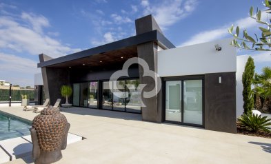 Villas - New Build - Rojales -
                Rojales