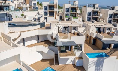 Villas - Obra nueva - San Miguel de Salinas -
                03193