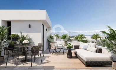 Villas - Obra nueva - Torre-Pacheco -
                Calle Aviador Miguel Galindo, 1