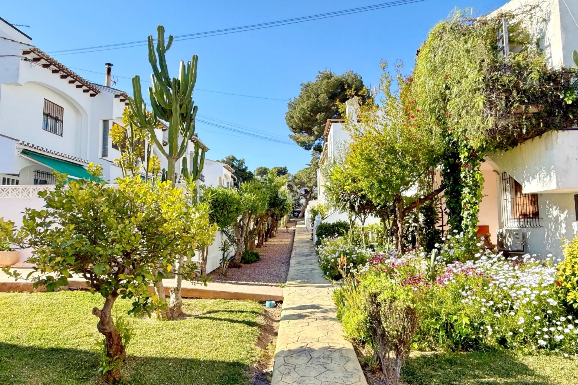 Wiederverkauf - Bungalow -
Torrevieja - Los balcones