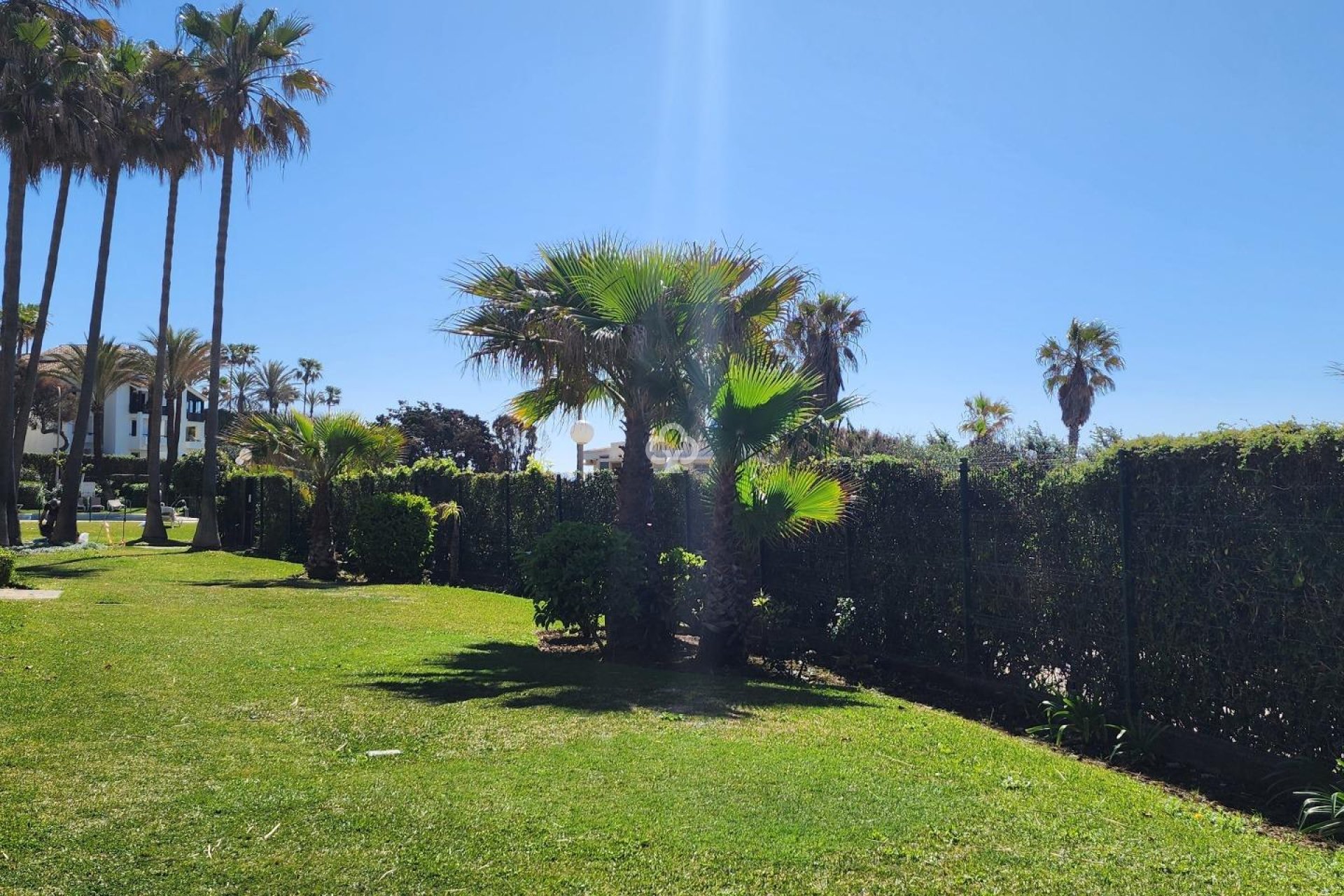 Wiederverkauf - Studie -
Marbella - Romana Playa