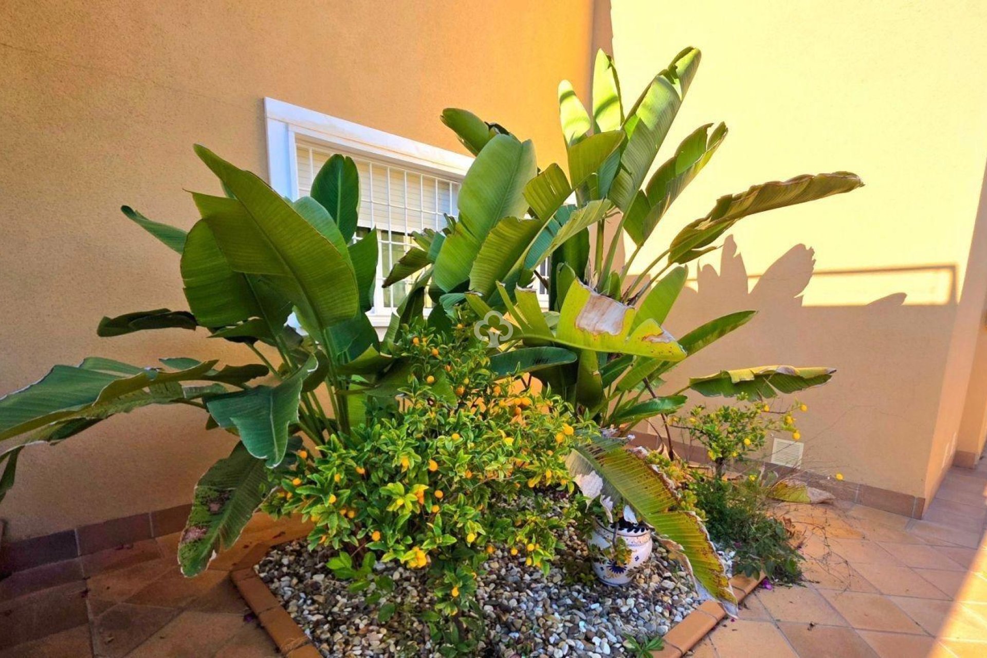 Wiederverkauf - Villa -
Dehesa de campoamor - Campoamor