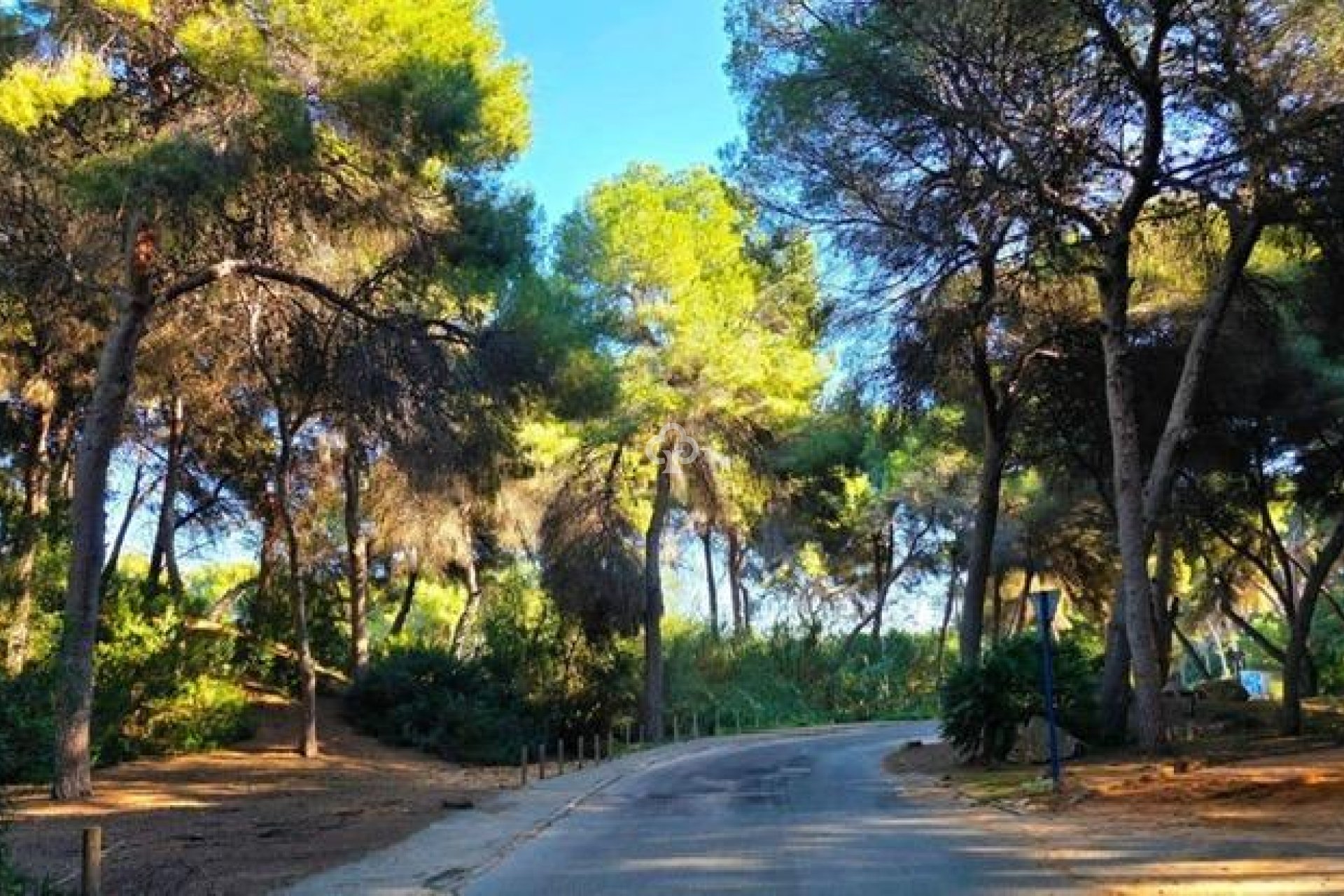 Wiederverkauf - Villa -
Dehesa de campoamor - Campoamor