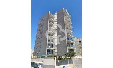 Wohnung - Wiederverkauf - Torrevieja -
                Nueva Torrevieja - Aguas Nuevas