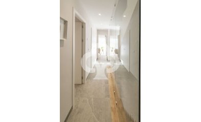 Obra nueva - Villas -
Pilar de la Horadada