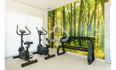 New Build - Áticos -
Mijas