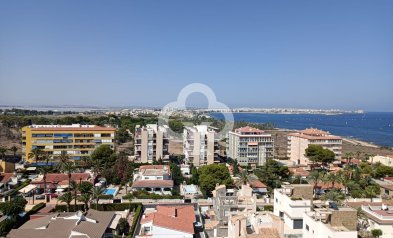 New Build - Áticos -
Torrevieja - 03189