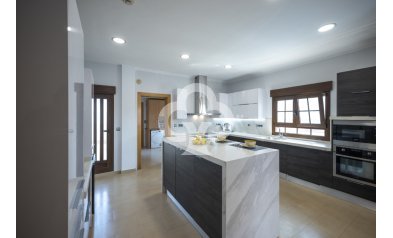 Obra nueva - Villas -
Avileses - 30592