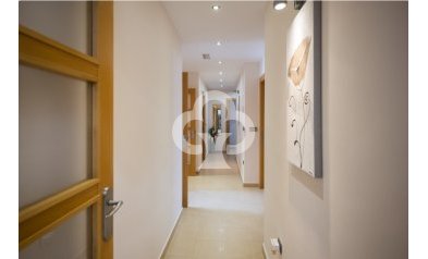 Obra nueva - Villas -
Avileses - 30592