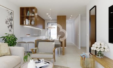 Obra nueva - Duplexes -
Torrevieja - torrevieja