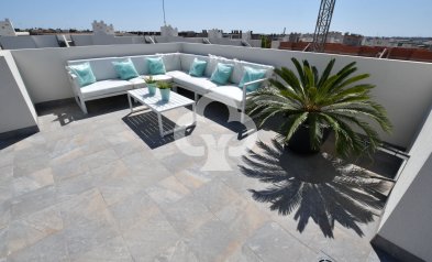 Neue Gebäude - Bungalow -
San Miguel de Salinas