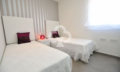 Neue Gebäude - Bungalow -
San Miguel de Salinas