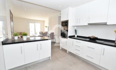 Neue Gebäude - Bungalow -
San Miguel de Salinas