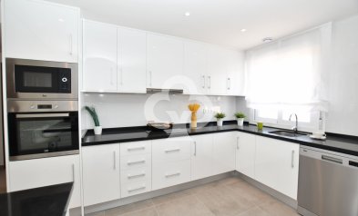 Neue Gebäude - Bungalow -
San Miguel de Salinas