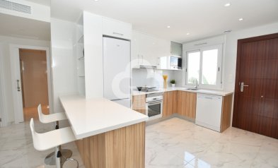 Neue Gebäude - Bungalow -
San Miguel de Salinas