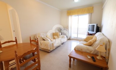 Wiederverkauf - Bungalow -
Torrevieja