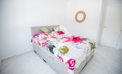 Obra nueva - Chalet independiente -
Pinar de Campoverde