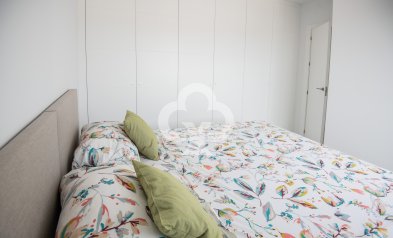 Obra nueva - Chalet independiente -
Pinar de Campoverde