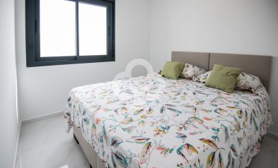 Obra nueva - Chalet independiente -
Pinar de Campoverde