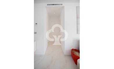 Obra nueva - Chalet independiente -
Pinar de Campoverde