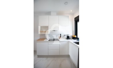 Obra nueva - Chalet independiente -
Pinar de Campoverde