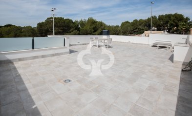 Obra nueva - Chalet independiente -
Pinar de Campoverde