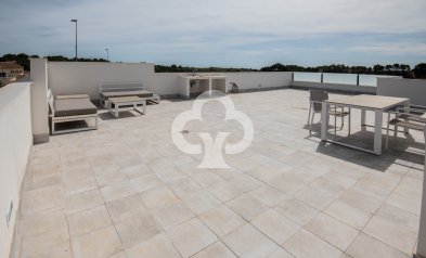 Obra nueva - Chalet independiente -
Pinar de Campoverde