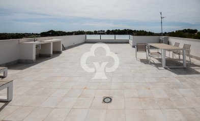 Obra nueva - Chalet independiente -
Pinar de Campoverde