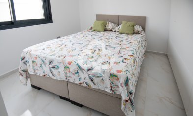 Obra nueva - Chalet independiente -
Pinar de Campoverde