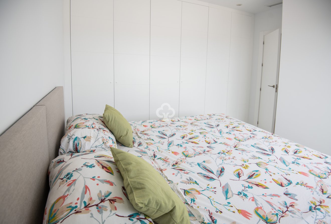 Obra nueva - Chalet independiente -
Pinar de Campoverde