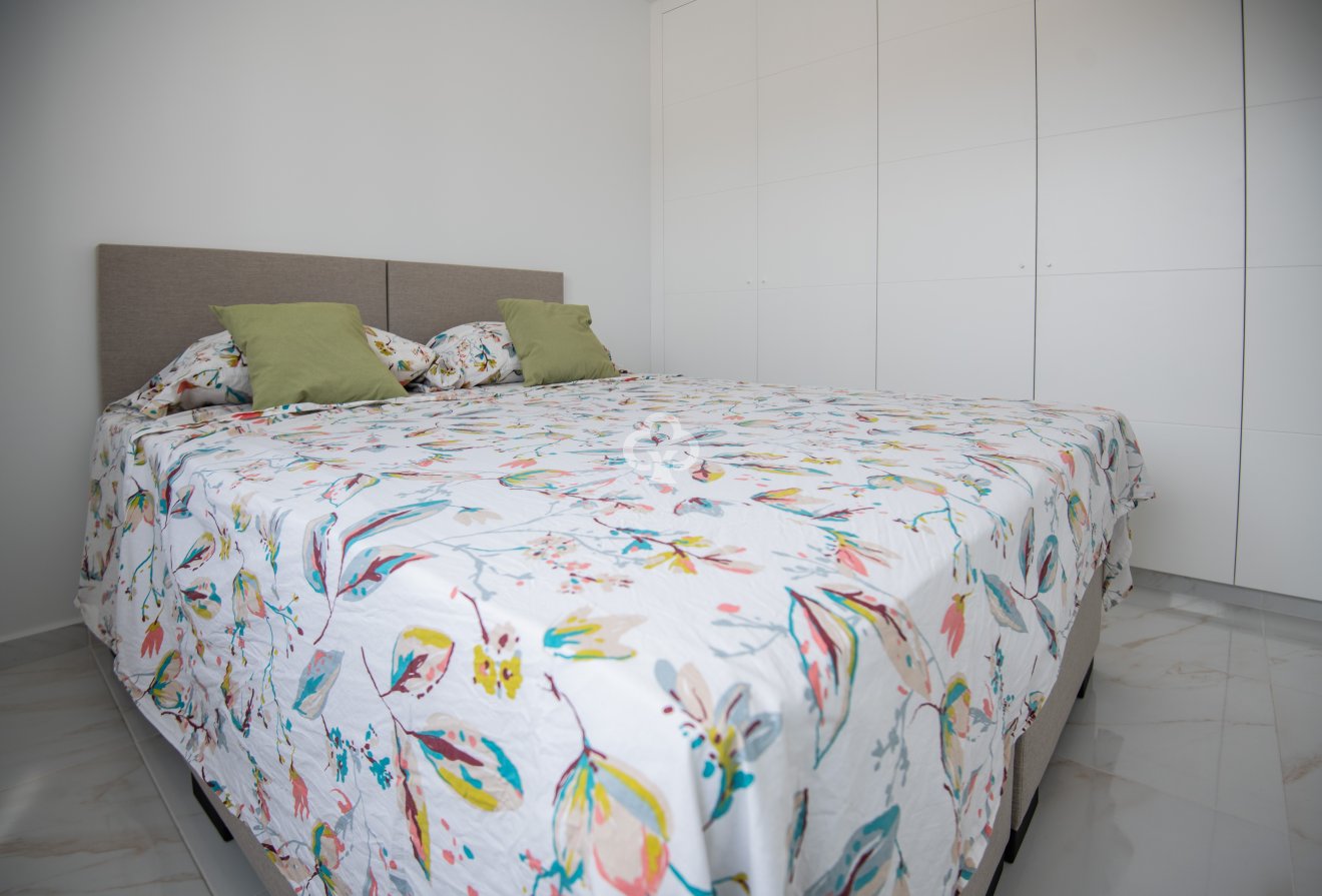 Obra nueva - Chalet independiente -
Pinar de Campoverde