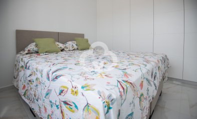 Obra nueva - Chalet independiente -
Pinar de Campoverde