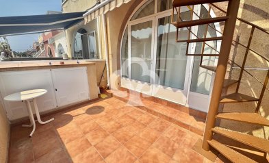 Resale - Bungalow -
Torrevieja - 03184